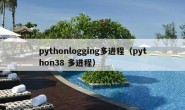 pythonlogging多进程（python38 多进程）