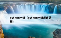 python小组（python小组项目总结）