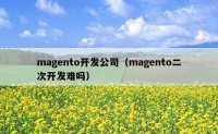 magento开发公司（magento二次开发难吗）