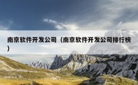 南京软件开发公司（南京软件开发公司排行榜）