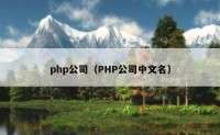 php公司（PHP公司中文名）